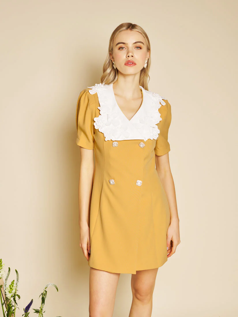 Jewel Canvas Mini Dress
