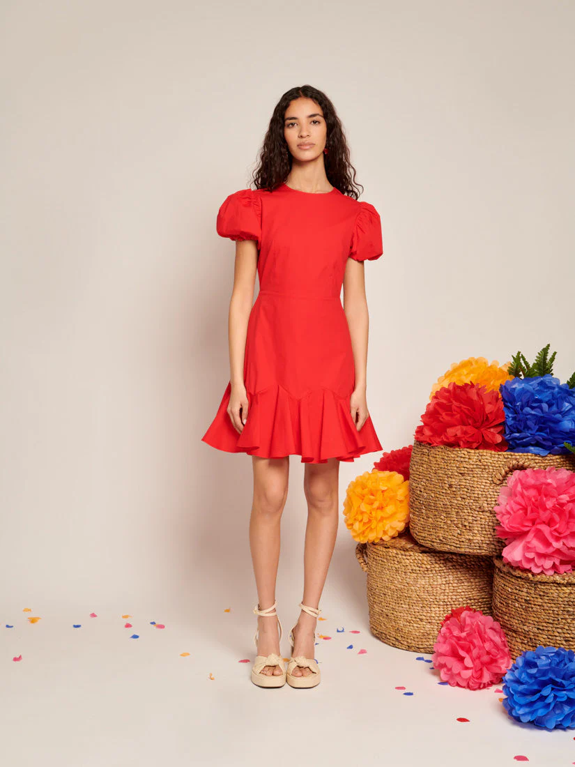 Pepper Ruffle Mini Dress - Image 4